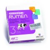 BOLIFAST RUMEN – Bolus anti-acidose vache laitière