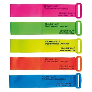 Bracelets Sécurit'Lait – Bracelets fluo résistants pour marquage des vaches